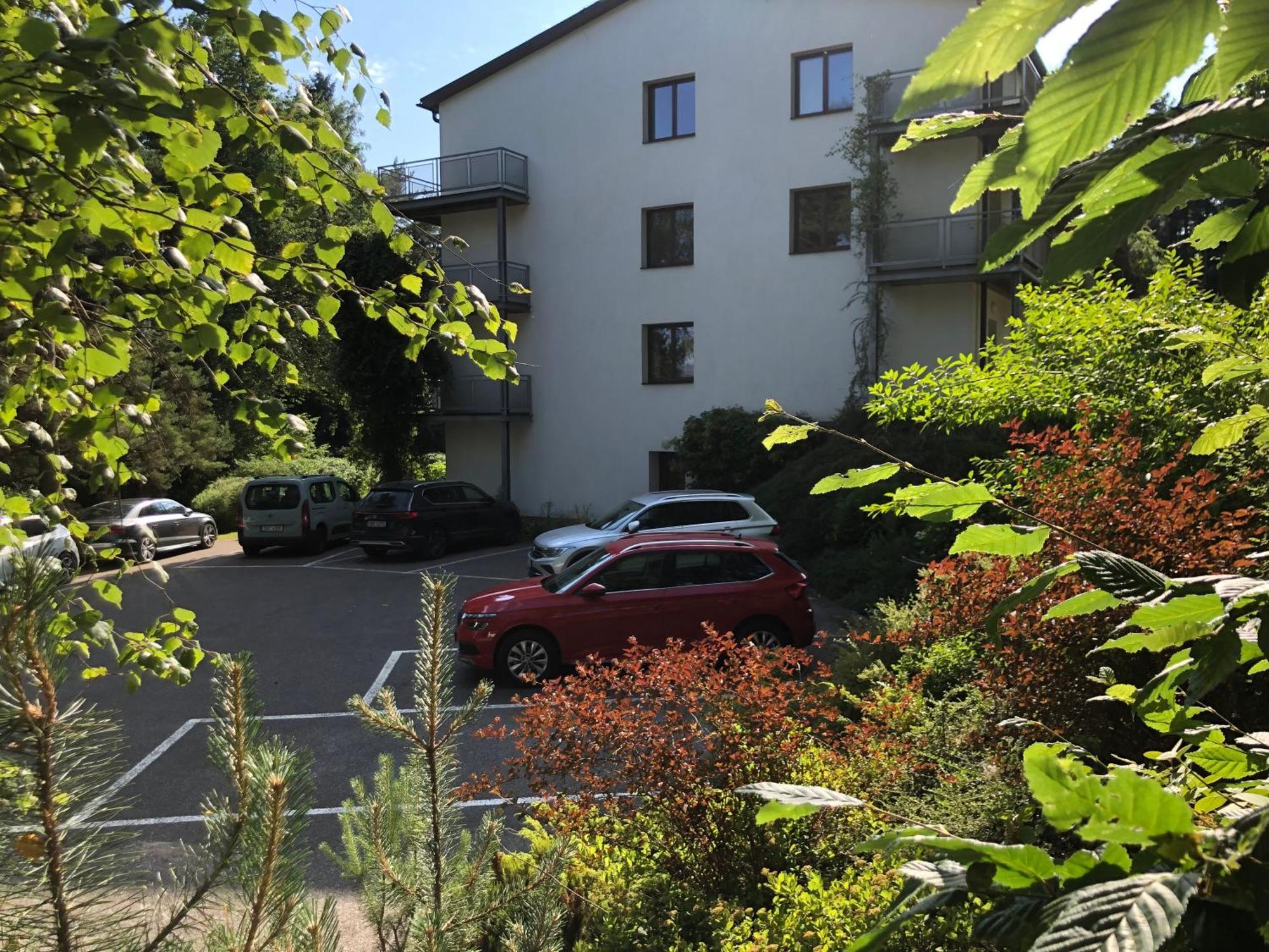 Ernesta Club Lipno Lejlighed Lipno nad Vltavou Eksteriør billede
